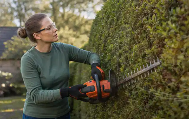 Person schneidet eine dichte Gartenhecke mit Schutzbrille und sicherem Stand; Thema Vertikutierer, Schwerpunkt Kaufberatung; Ausgangslage.