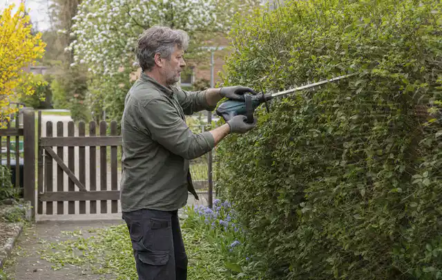 Person schneidet eine Gartenhecke mit einem motorisierten Gartengerät; Thema Vertikutierer, Schwerpunkt Kaufberatung; Ergebnis.