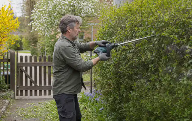 Person schneidet eine Gartenhecke mit einem motorisierten Gartengerät; Thema Vertikutierer, Schwerpunkt Leistung; Kontrolle.