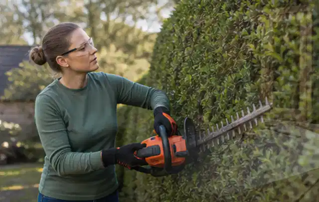 Person schneidet eine dichte Gartenhecke mit Schutzbrille und sicherem Stand; Thema Vertikutierer, Schwerpunkt Leistung; Ergebnis.