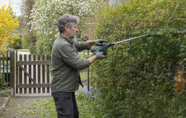 Person schneidet eine Gartenhecke mit einem motorisierten Gartengerät; Thema Vertikutierer, Schwerpunkt Nachhaltigkeit; Ausgangslage.