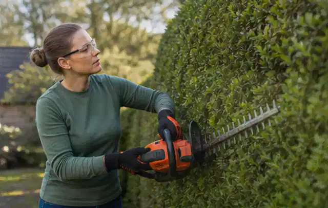 Person schneidet eine dichte Gartenhecke mit Schutzbrille und sicherem Stand; Thema Vertikutierer, Schwerpunkt Nachhaltigkeit; Praxisalltag.
