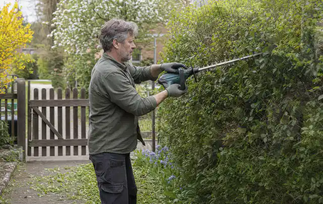 Person schneidet eine Gartenhecke mit einem motorisierten Gartengerät; Thema Vertikutierer, Schwerpunkt Reparatur; Umsetzung.