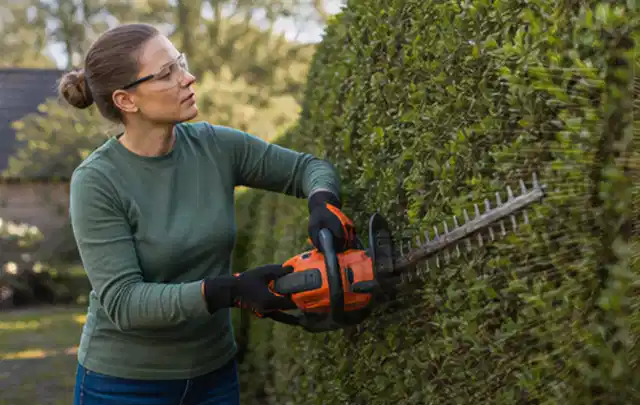 Person schneidet eine dichte Gartenhecke mit Schutzbrille und sicherem Stand; Thema Vertikutierer, Schwerpunkt Sicherheit; Ergebnis.