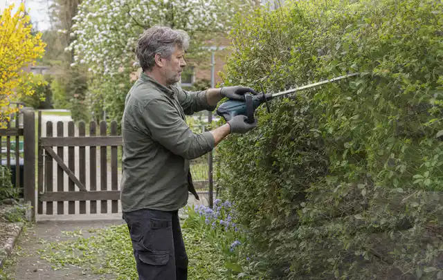 Person schneidet eine Gartenhecke mit einem motorisierten Gartengerät; Thema Vertikutierer, Schwerpunkt Sicherheit; Praxisalltag.