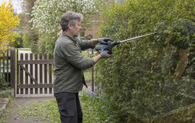 Person schneidet eine Gartenhecke mit einem motorisierten Gartengerät; Thema Vertikutierer, Schwerpunkt Systemvergleich; Ergebnis.