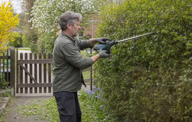 Person schneidet eine Gartenhecke mit einem motorisierten Gartengerät; Thema Vertikutierer, Schwerpunkt Testkriterien; Ausgangslage.