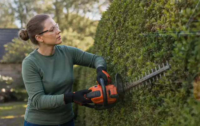 Person schneidet eine dichte Gartenhecke mit Schutzbrille und sicherem Stand; Thema Vertikutierer, Schwerpunkt Testkriterien; Ergebnis.