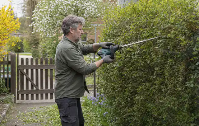 Person schneidet eine Gartenhecke mit einem motorisierten Gartengerät; Thema Vertikutierer, Schwerpunkt Vergleich; Ergebnis.