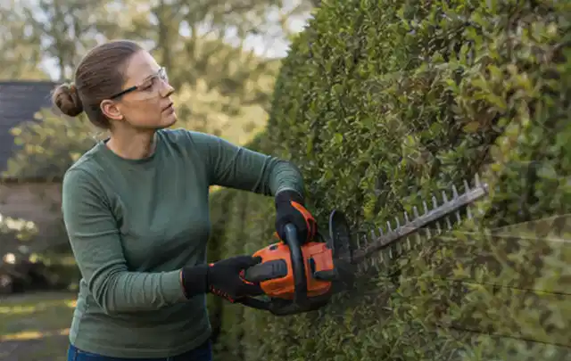 Person schneidet eine dichte Gartenhecke mit Schutzbrille und sicherem Stand; Thema Vertikutierer, Schwerpunkt Vergleich; Praxisalltag.