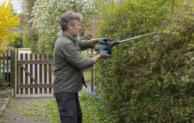Person schneidet eine Gartenhecke mit einem motorisierten Gartengerät; Thema Vertikutierer, Schwerpunkt Wartung; Kontrolle.