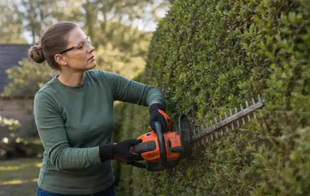 Person schneidet eine dichte Gartenhecke mit Schutzbrille und sicherem Stand; Thema Vertikutierer, Schwerpunkt Wartung; Praxisalltag.