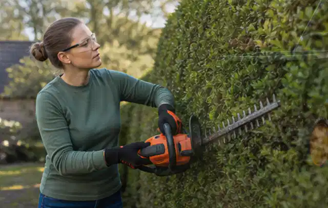 Person schneidet eine dichte Gartenhecke mit Schutzbrille und sicherem Stand; Thema Vertikutierer, Schwerpunkt Winterlager; Ausgangslage.