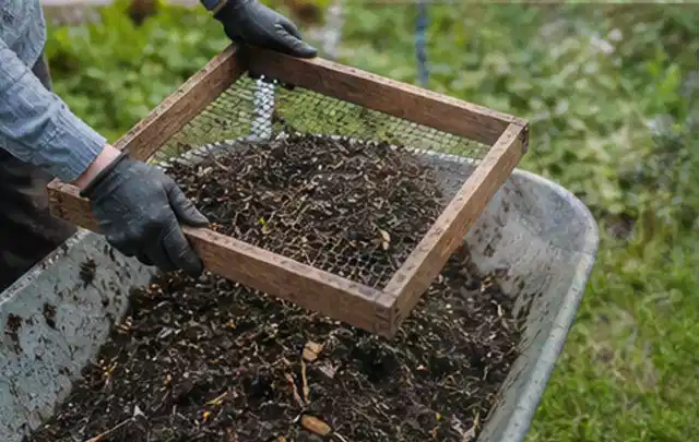 Behandschuhte Hände sieben reifen Kompost über einer Gartenschubkarre; Thema Walnuss, Schwerpunkt Bewässerung; Praxisalltag.