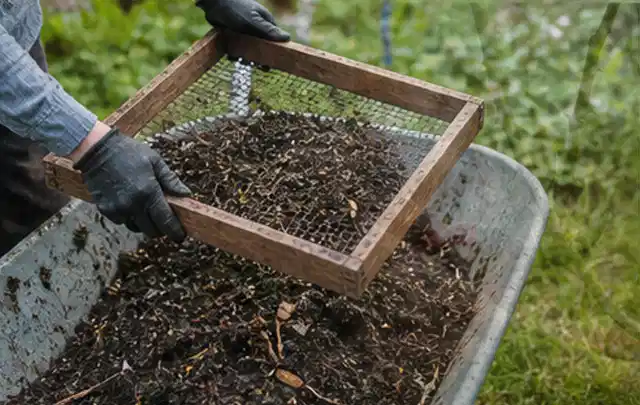 Behandschuhte Hände sieben reifen Kompost über einer Gartenschubkarre; Thema Walnuss, Schwerpunkt Lagerung; Ausgangslage.