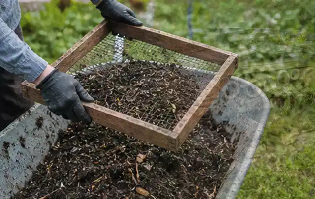 Behandschuhte Hände sieben reifen Kompost über einer Gartenschubkarre; Thema Walnuss, Schwerpunkt Nährstoffe; Praxisalltag.