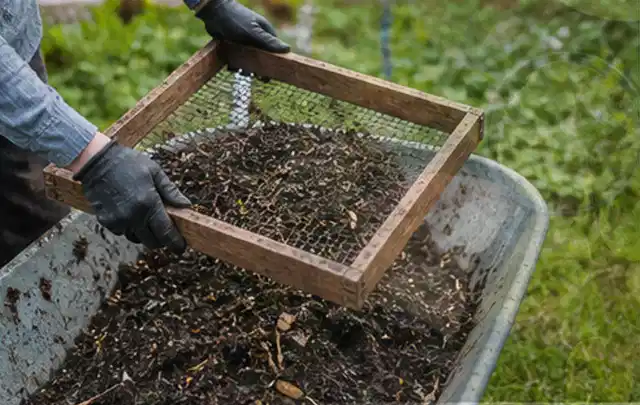 Behandschuhte Hände sieben reifen Kompost über einer Gartenschubkarre; Thema Walnuss, Schwerpunkt Obst; Ausgangslage.