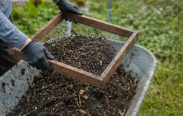 Behandschuhte Hände sieben reifen Kompost über einer Gartenschubkarre; Thema Weintrauben, Schwerpunkt Anbau; Praxisalltag.