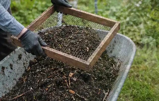 Behandschuhte Hände sieben reifen Kompost über einer Gartenschubkarre; Thema Weintrauben, Schwerpunkt Balkongarten; Umsetzung.