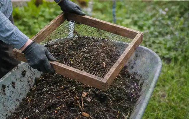Behandschuhte Hände sieben reifen Kompost über einer Gartenschubkarre; Thema Weintrauben, Schwerpunkt Fehlerhilfe; Ergebnis.
