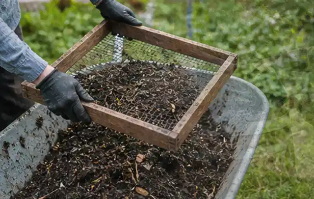 Behandschuhte Hände sieben reifen Kompost über einer Gartenschubkarre; Thema Weintrauben, Schwerpunkt Gesundheit; Ergebnis.