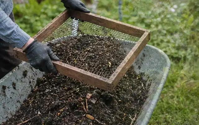 Behandschuhte Hände sieben reifen Kompost über einer Gartenschubkarre; Thema Weintrauben, Schwerpunkt Lagerung; Ausgangslage.