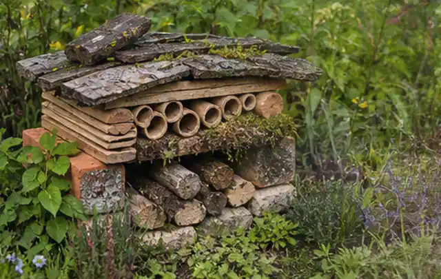 Naturnaher Unterschlupf aus Holz Rinde und Pflanzenstängeln im Garten; Thema Wespen, Schwerpunkt Fehlerhilfe; Ausgangslage.