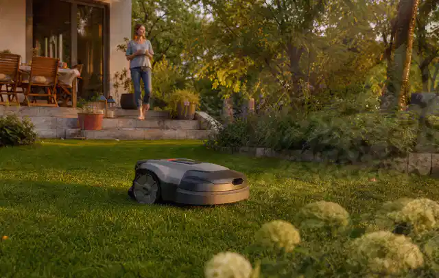 Mähroboter fährt am Abend über einen Rasen im Familiengarten; Thema Worx Landroid, Schwerpunkt Bestenliste; Ergebnis.