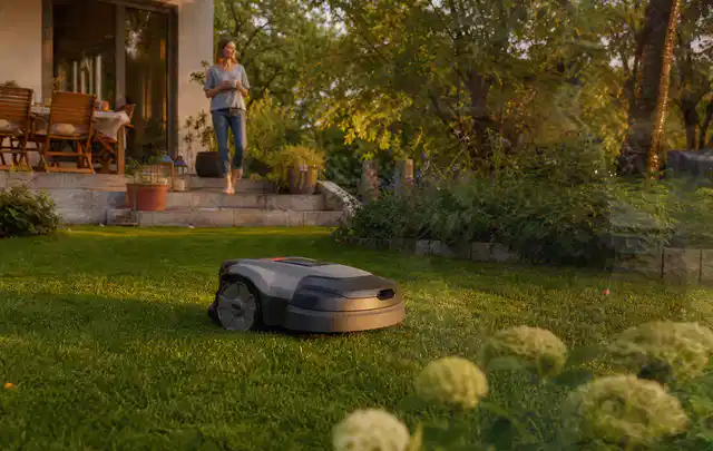Mähroboter fährt am Abend über einen Rasen im Familiengarten; Thema Worx Landroid, Schwerpunkt Ersatzteile; Umsetzung.