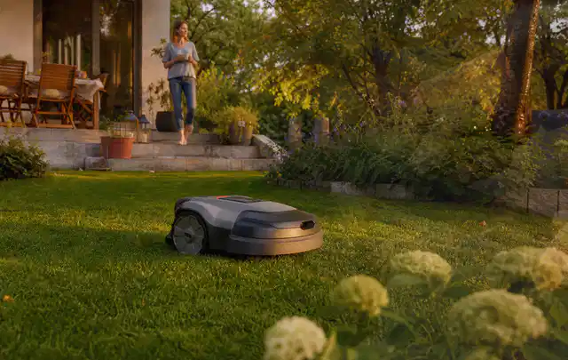 Mähroboter fährt am Abend über einen Rasen im Familiengarten; Thema Worx Landroid, Schwerpunkt Fehlerhilfe; Ergebnis.