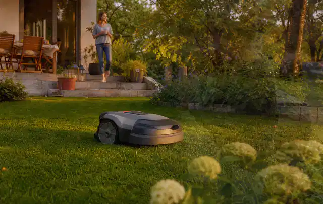 Mähroboter fährt am Abend über einen Rasen im Familiengarten; Thema Worx Landroid, Schwerpunkt Gärten mit großer Fläche; Ergebnis.