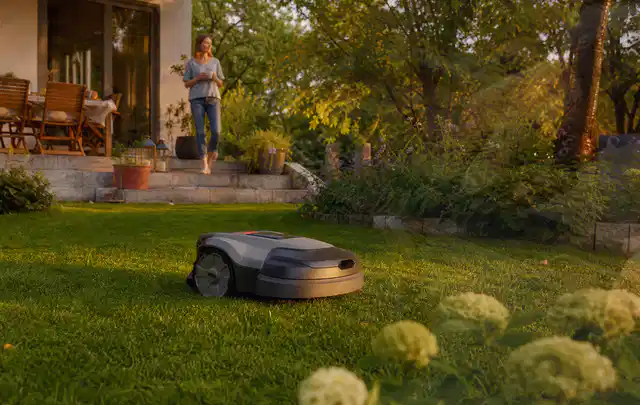Mähroboter fährt am Abend über einen Rasen im Familiengarten; Thema Worx Landroid, Schwerpunkt Gärten mit kleiner Fläche; Ergebnis.