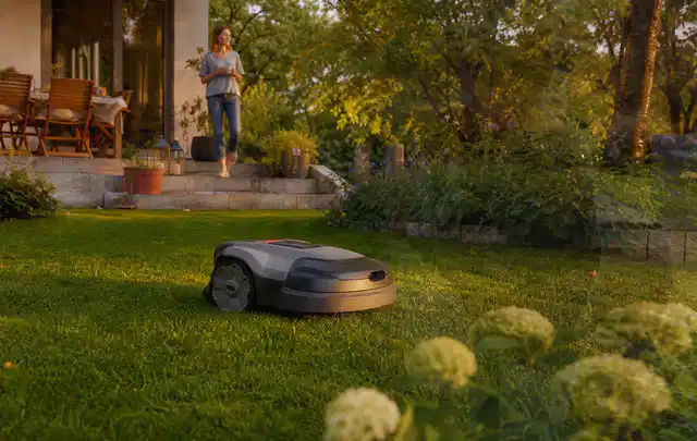 Mähroboter fährt am Abend über einen Rasen im Familiengarten; Thema Worx Landroid, Schwerpunkt Mähroboter; Kontrolle.
