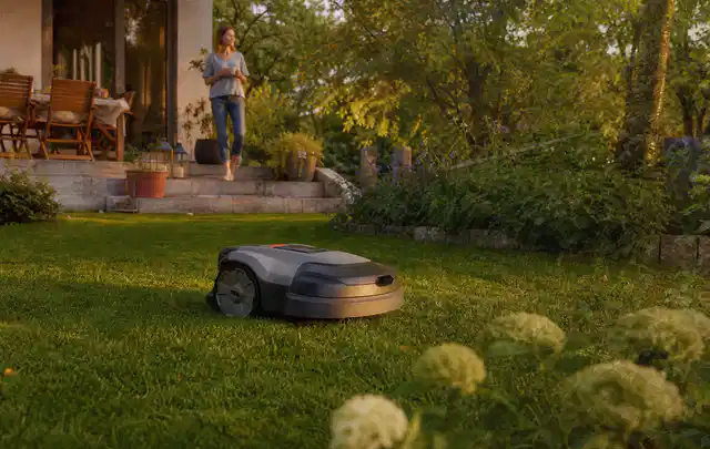 Mähroboter fährt am Abend über einen Rasen im Familiengarten; Thema Worx Landroid, Schwerpunkt Nachhaltigkeit; Ausgangslage.