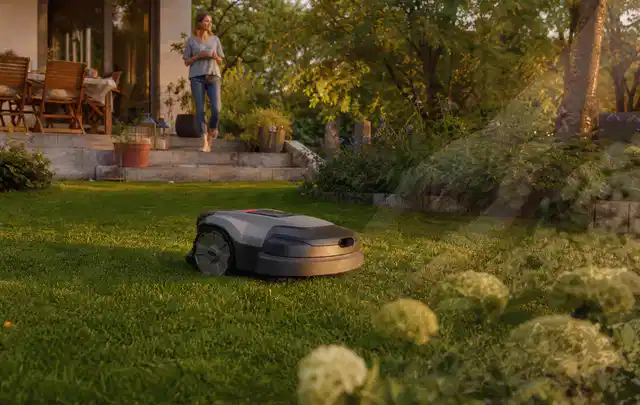 Mähroboter fährt am Abend über einen Rasen im Familiengarten; Thema Worx Landroid, Schwerpunkt Reparatur; Ergebnis.