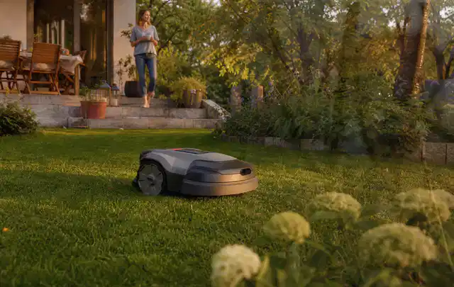 Mähroboter fährt am Abend über einen Rasen im Familiengarten; Thema Worx Landroid, Schwerpunkt Testkriterien; Praxisalltag.