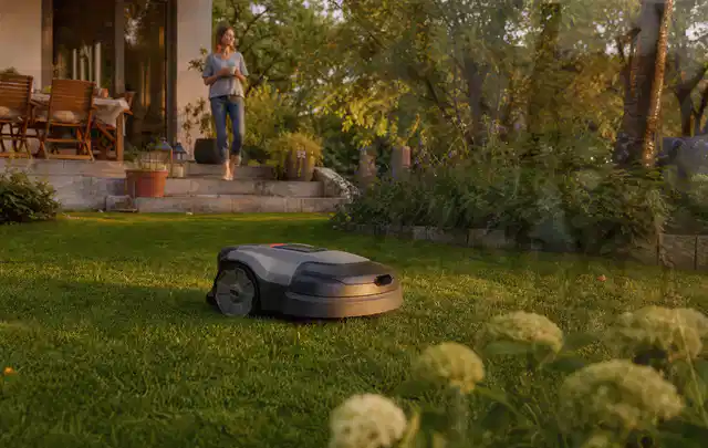 Mähroboter fährt am Abend über einen Rasen im Familiengarten; Thema Worx Landroid, Schwerpunkt Vergleich; Umsetzung.