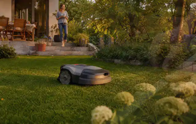 Mähroboter fährt am Abend über einen Rasen im Familiengarten; Thema Worx Landroid, Schwerpunkt Wartung; Praxisalltag.
