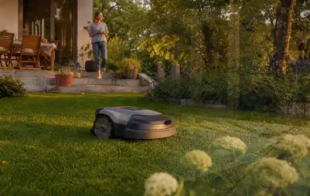 Mähroboter fährt am Abend über einen Rasen im Familiengarten; Thema Worx Landroid, Schwerpunkt Winterlager; Praxisalltag.