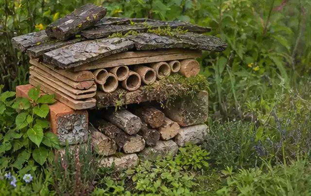 Naturnaher Unterschlupf aus Holz Rinde und Pflanzenstängeln im Garten; Thema Wühlmäuse, Schwerpunkt Hausmittel; Umsetzung.