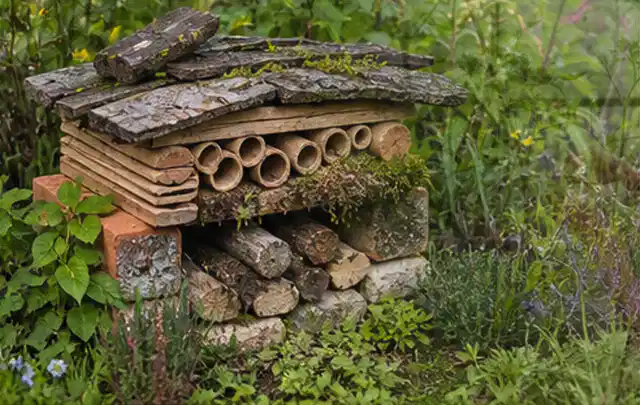 Naturnaher Unterschlupf aus Holz Rinde und Pflanzenstängeln im Garten; Thema Wühlmäuse, Schwerpunkt Natürliche Bekämpfung; Kontrolle.