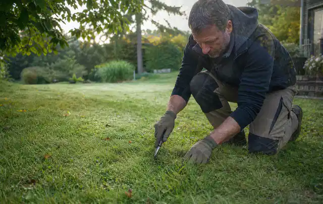 Person prüft den Boden einer gepflegten Rasenfläche im Garten; Thema Zierrasen, Schwerpunkt Checkliste; Kontrolle.