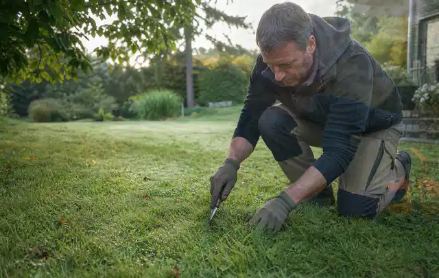 Person prüft den Boden einer gepflegten Rasenfläche im Garten; Thema Zierrasen, Schwerpunkt Düngung; Ergebnis.