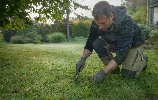 Person prüft den Boden einer gepflegten Rasenfläche im Garten; Thema Zierrasen, Schwerpunkt Einsteigerwissen; Ergebnis.