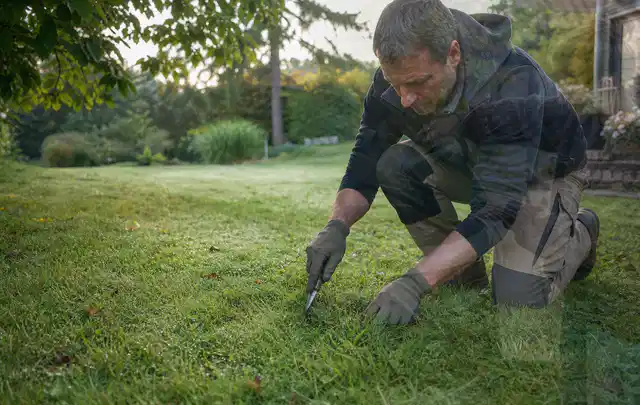 Person prüft den Boden einer gepflegten Rasenfläche im Garten; Thema Zierrasen, Schwerpunkt Fehlerhilfe; Ergebnis.