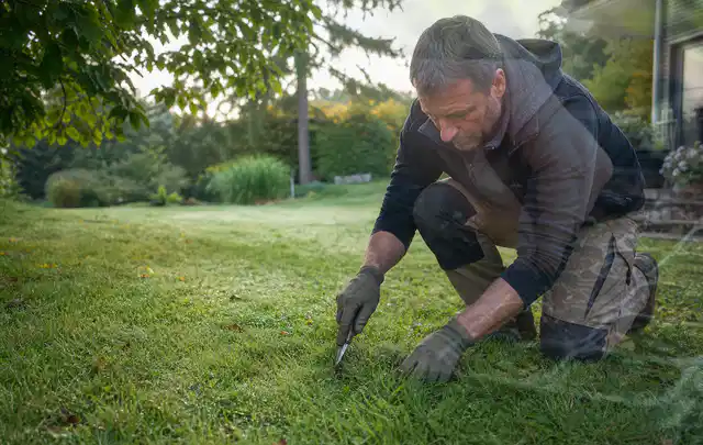 Person prüft den Boden einer gepflegten Rasenfläche im Garten; Thema Zierrasen, Schwerpunkt Frühjahr; Ergebnis.
