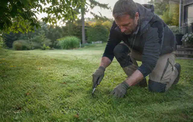Person prüft den Boden einer gepflegten Rasenfläche im Garten; Thema Zierrasen, Schwerpunkt Herbstpflege; Kontrolle.