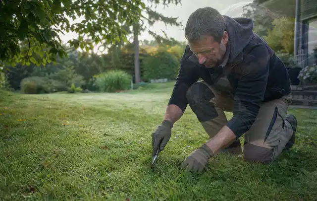 Person prüft den Boden einer gepflegten Rasenfläche im Garten; Thema Zierrasen, Schwerpunkt Kosten; Ergebnis.