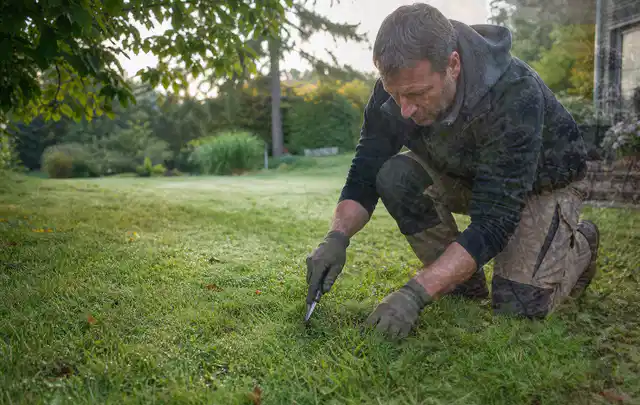 Person prüft den Boden einer gepflegten Rasenfläche im Garten; Thema Zierrasen, Schwerpunkt Nachsaat; Ausgangslage.