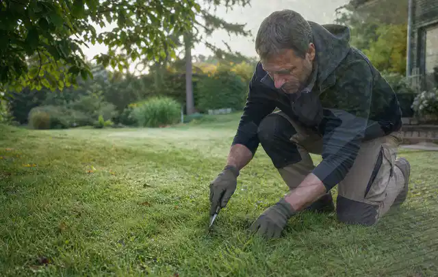 Person prüft den Boden einer gepflegten Rasenfläche im Garten; Thema Zierrasen, Schwerpunkt Neuanlage; Praxisalltag.